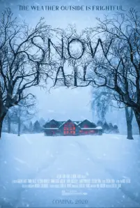 Snow Falls (2023)